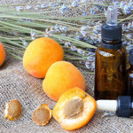 применение масла абрикоса для волос